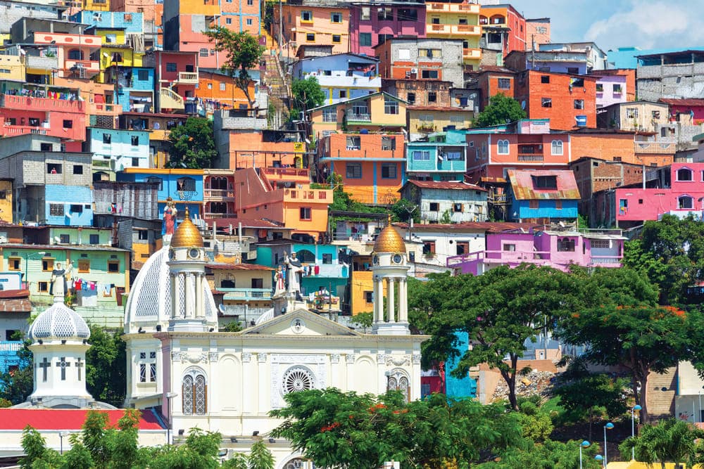 Aventure en Équateur : Nature, Culture et Amazonie en 7 jours