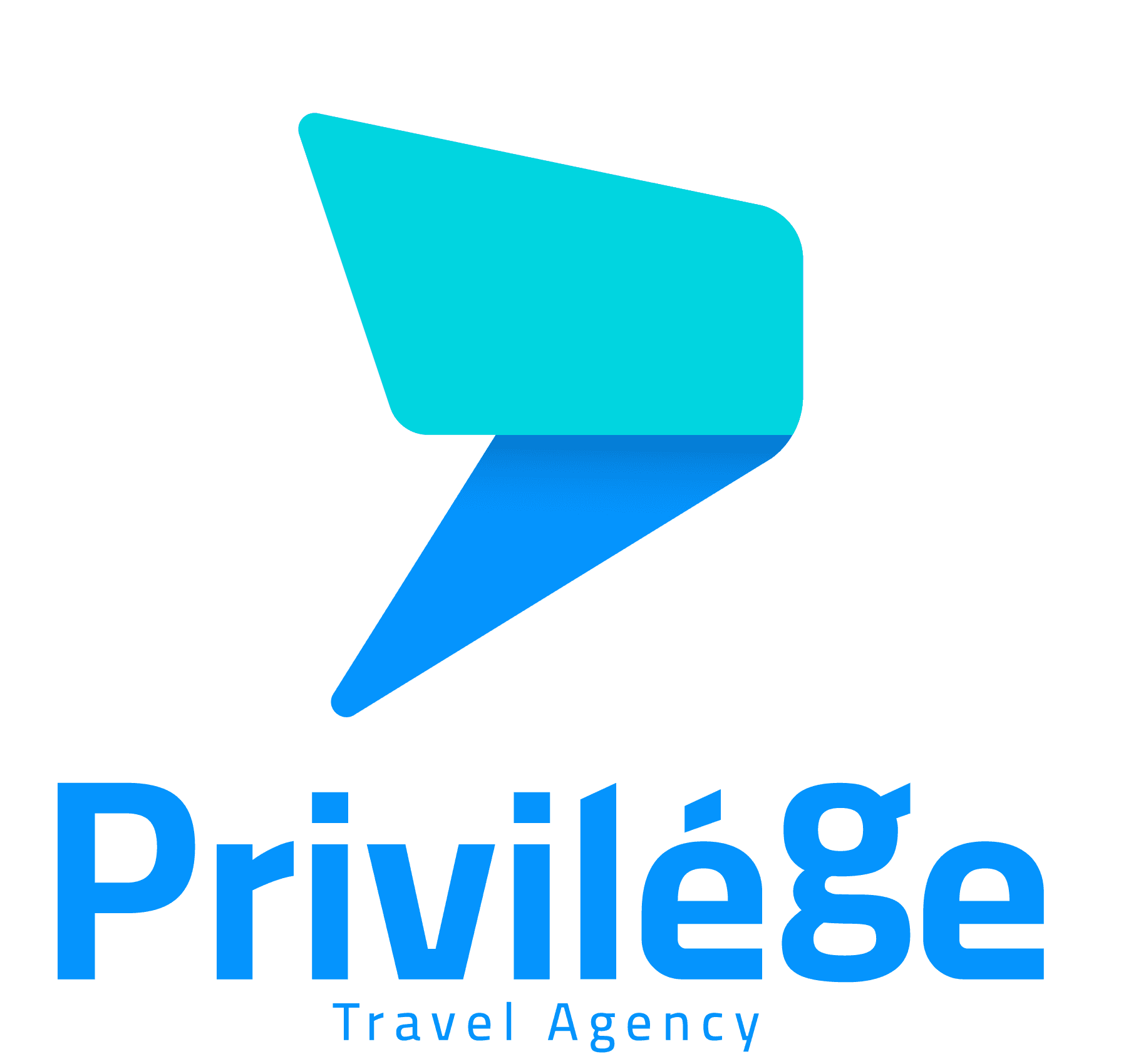 Privilege Travel