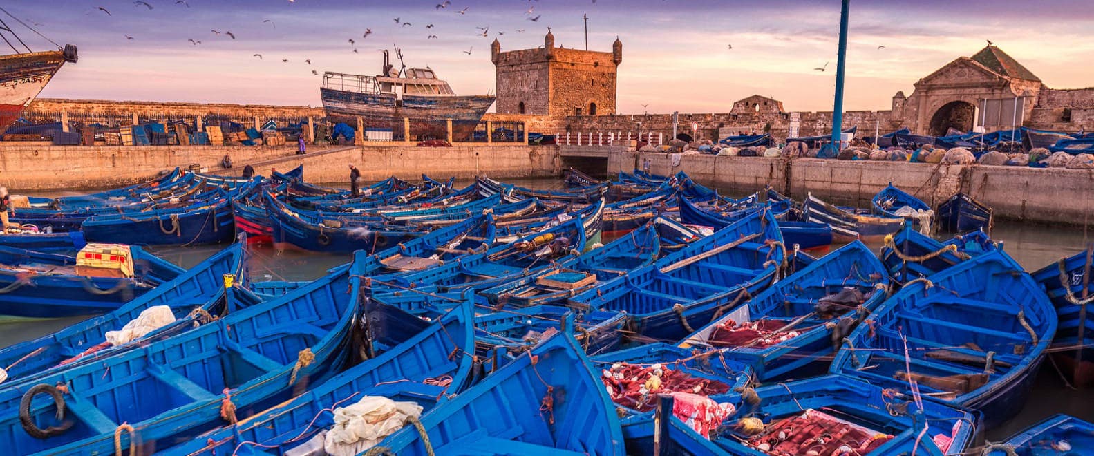 Tour du Sud – Aventure Atlantique avec Privilége Travel 🌊